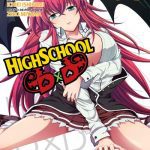 High School DxD